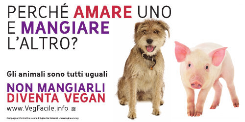 03 perche-amare-uno-e-mangiare-l-altro